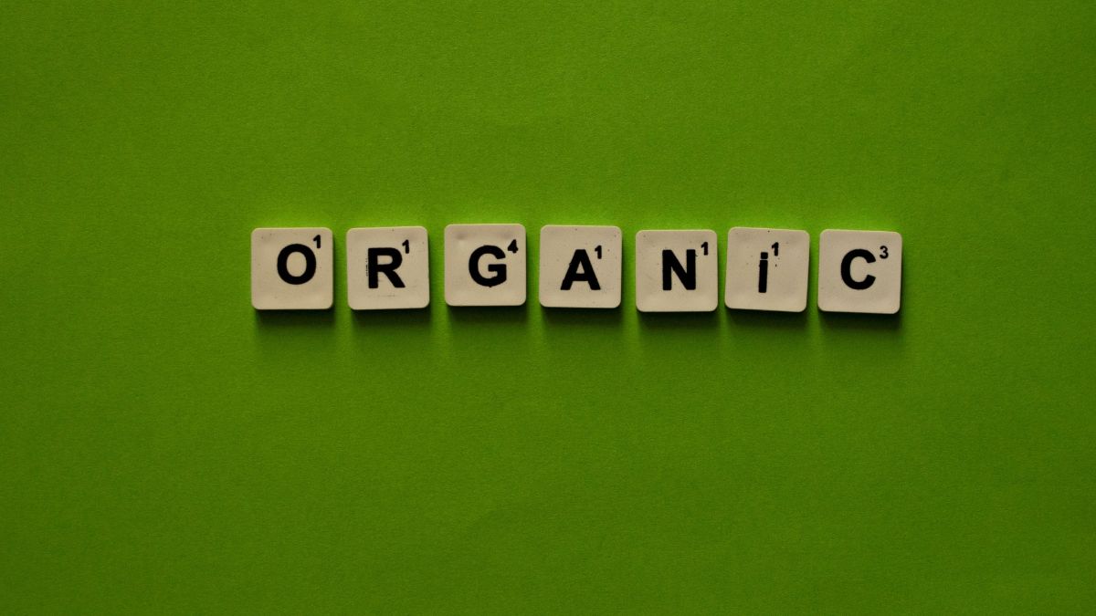 tráfego orgânico como funciona